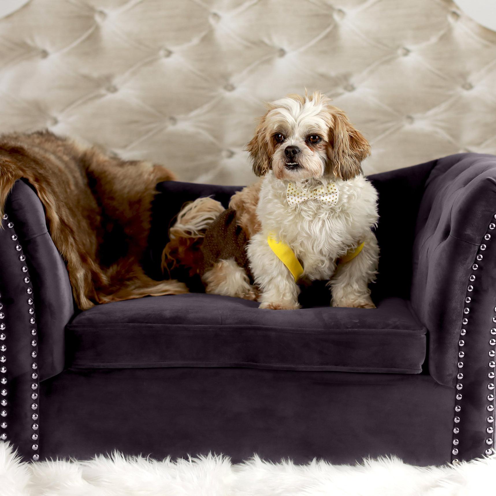 Dachshund Velvet Pet Bed